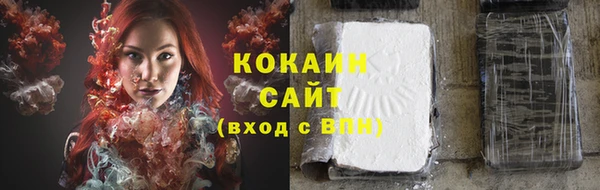 эйфоретик Арсеньев