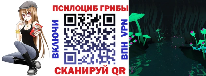 мега вход  Карабулак  это какой сайт  Галлюциногенные грибы MAGIC MUSHROOMS 